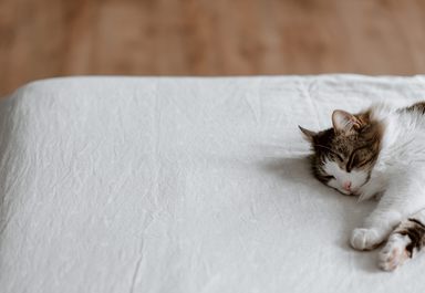 Как закрепить простынь на матрасе?