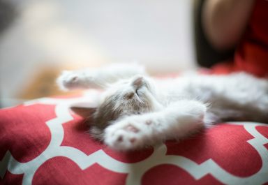 Как быстро уснуть: эффективные методы и советы